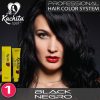 Black 1 Hair Color Cream Kachita Spell